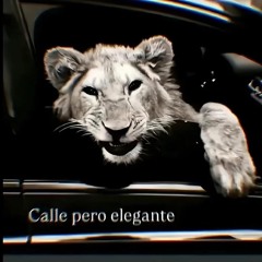 CALLE_PERO_ELEGANTE_LIVE_SET_FELIPE_VALBUENA_DJ