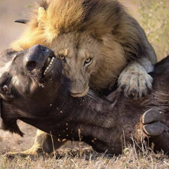 Sweat- O31 Iz Fo Eva (fuck deh ward)