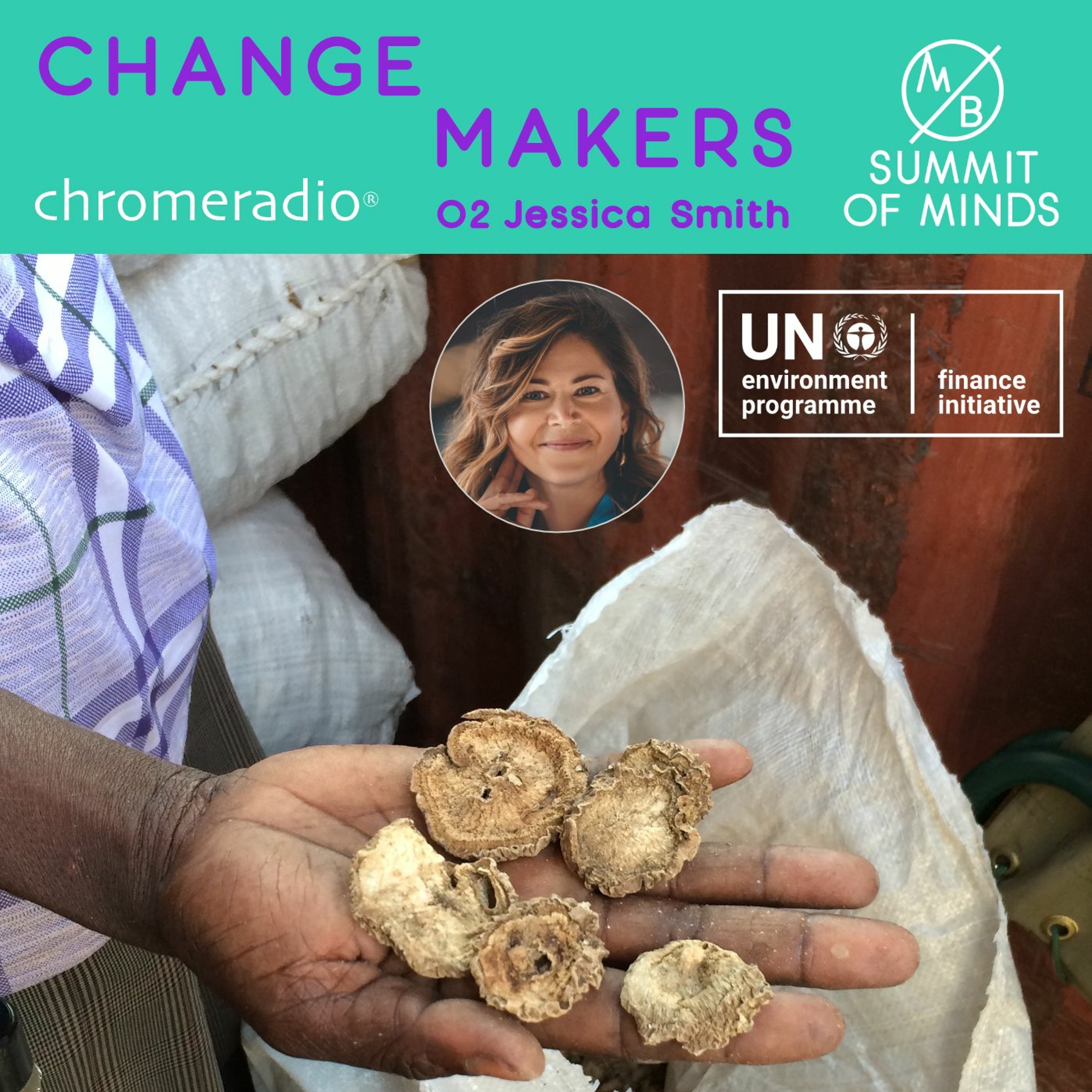 CHANGEMAKERS 02 | J Smith, UN Environment Programme Finance Initiative