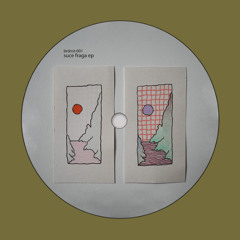 Suce Fraga - Infinite Flow