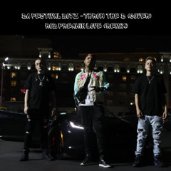 Da Festival Boyz -Throw the D (COVER) Rob Freakin Love (REMIX) (1)