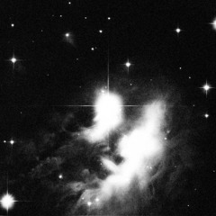 by the stars