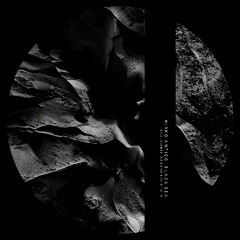Mirko Antico - Black Sea MEET039