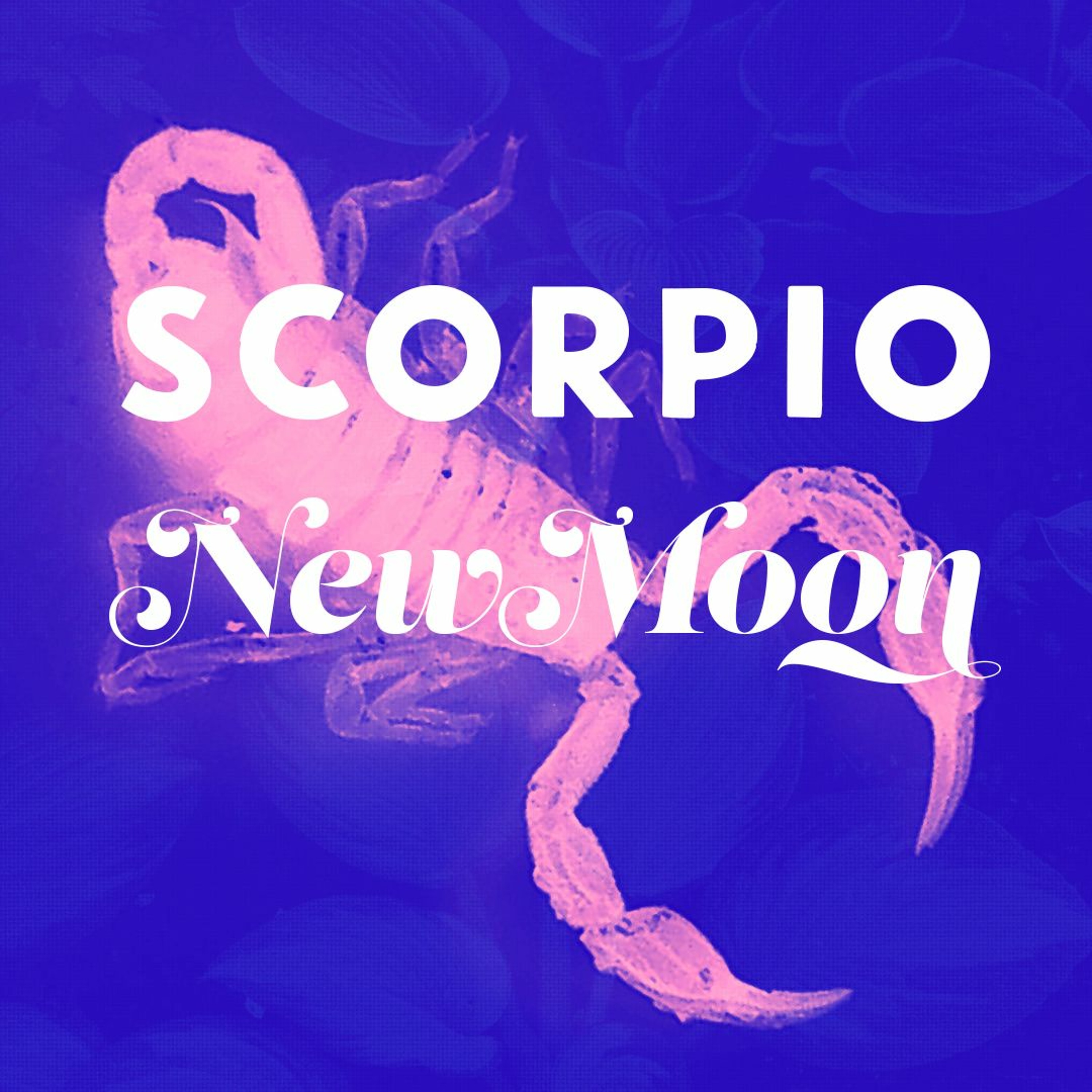 Blood Moon Milk Astrology Podcast