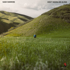 Nash Hawkins - Don't Wanna Be Alone