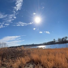 KEROSENE P. ELRIY + JACKZORANA