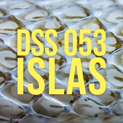 DSS 053 I islas