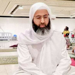 الحادي أبو هشام ما الناس سِوا قومٌ عرفوك.. نسماتُ هواك لها أرجُ