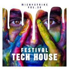 MICKYSTRIKE Vol.36 〜 Festival Tech House