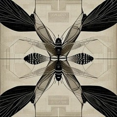 Sound of Bugs Rubbing Wings Together