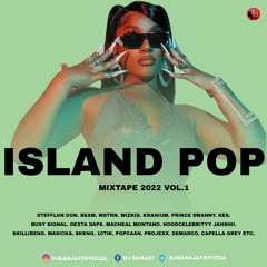 DANCEHALL MIX ISLAND POP FEBRUARY 2022