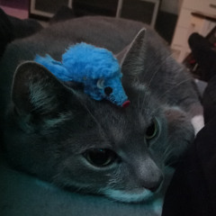 FtL85 - Dragon Battle