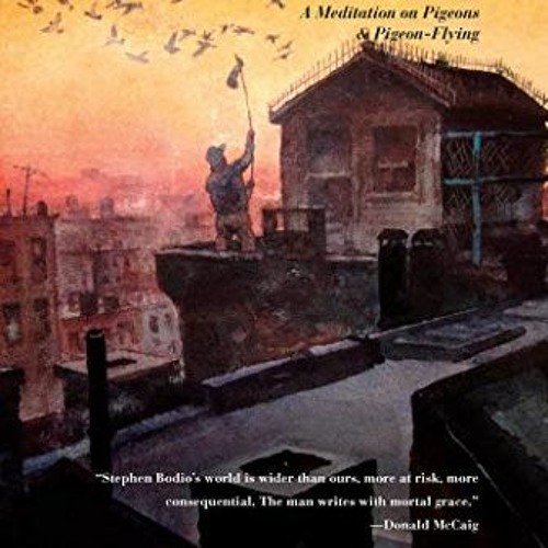 [ACCESS] KINDLE 📂 Aloft: A Meditation on Pigeons & Pigeon-Flying by  Stephen Bodio &