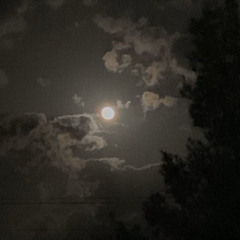 ليه الصد يالجافي وأنت الجرح بك يبرى؟