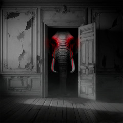 Anxious Elephants (feat. Admin Kf)