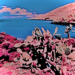 galapagos