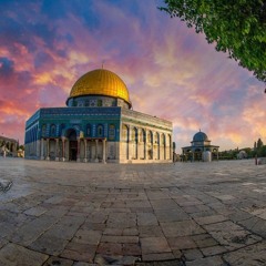 حداء | هي هذه أرضي