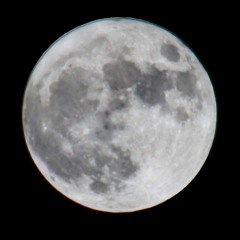 Moondance