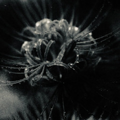 TNL VZN - Under Benhall Bridge (Dazy Lay remix)