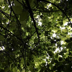 in passing (take 2 24/8/22)