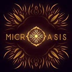 Raasa @Microasis Festival 2024