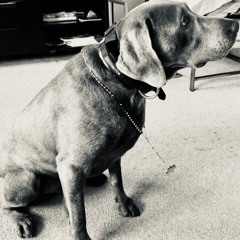 want it all ft. dazvanta (swetzz)