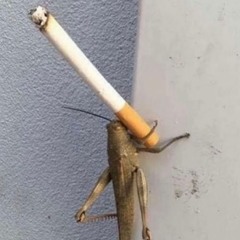 PRŪN - set004 - industrialisation