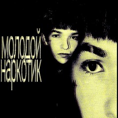 молодойнар котик