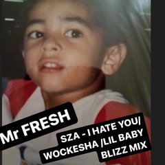 SZA- I HATE YOU/ WOCKESHA/ LIL BABY BLIZZ MIX