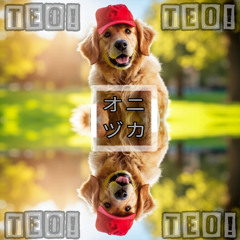 TEO!