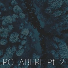 Polabere Pt. 2 (demo)