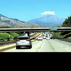 Proseguid! Avanzad! 🌺 Let’s Go On! 🌹