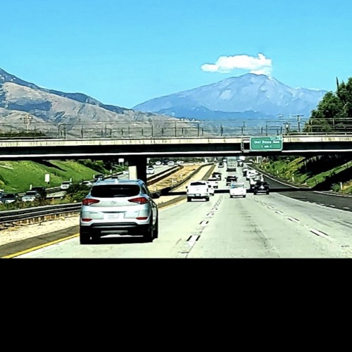 Proseguid! Avanzad! 🌺 Let’s Go On! 🌹