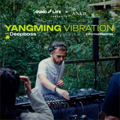 Yangming Vibration - Deepbass (Informa Records)