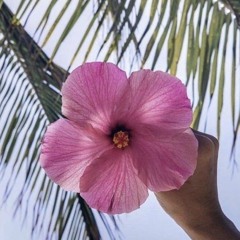 2️⃣🌺2️⃣3️⃣ SPRING‼️