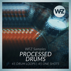 WFZ Samples - Processed Drums