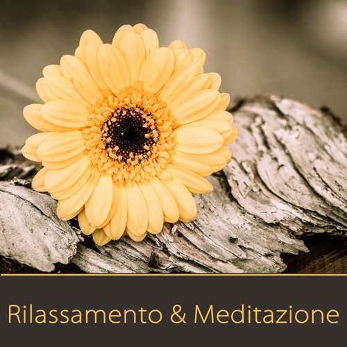 Bacchetta di cristallo curativo ametista a punta e sfaccettata Prisma