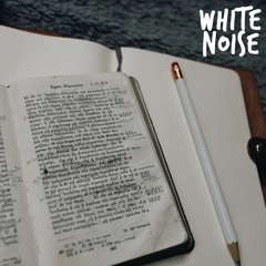 White Noise (Memorization)