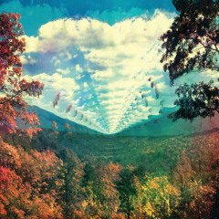 InnerSpeaker (Collector's Edition)