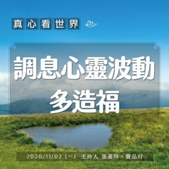 真心看世界20201102【調息心靈波動 多造福】