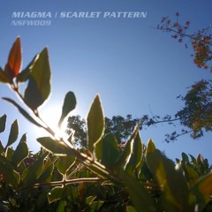 NSFW009 / Miagma - Scarlet Pattern LP