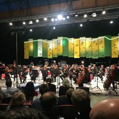 The Energy Burns from Within  For Orchestra, 2021