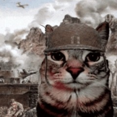 Vietnam War Flashback Vol. 1 (The Devils Playground Preview)