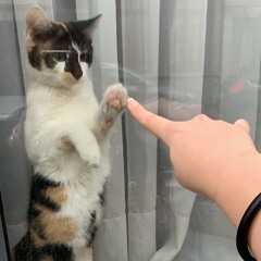 I know you