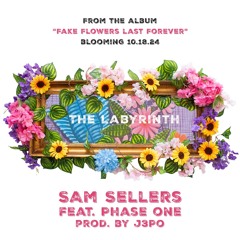 The Labyrinth (feat. Phase One)