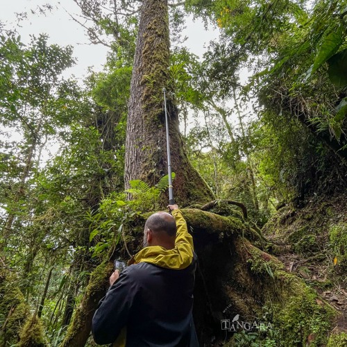 110824 / Play Flora / Arturo / ANP PNYCH