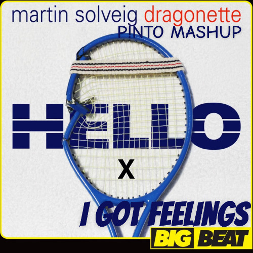 I GOT FEELINGS X HELLO P!NTO MASHUP