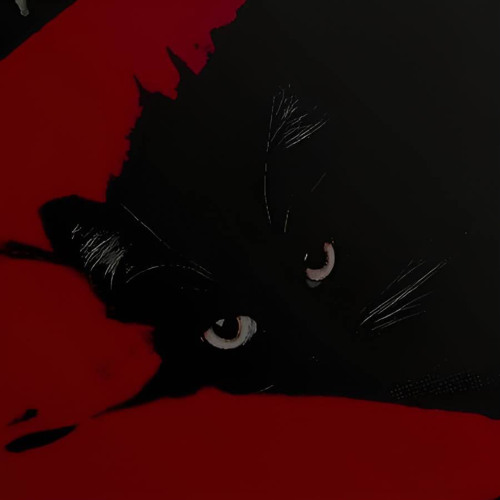 Bleed