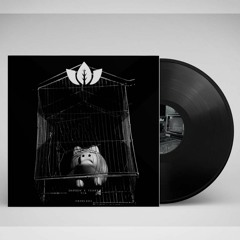 𝐏𝐑𝐄𝐌𝐈𝐄𝐑𝐄 | Chilo Decks - BackGround Noise (Original Mix) [Virescence Records]