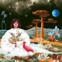 new moon / vol 1: gemini